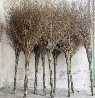 加厚一体式环卫大竹扫把 加厚笤帚